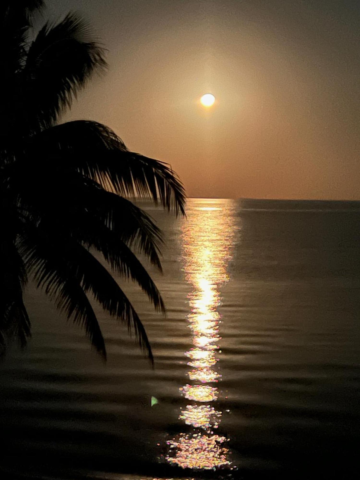 Bella Sway Belize Villa Maya Beach Exteriör bild